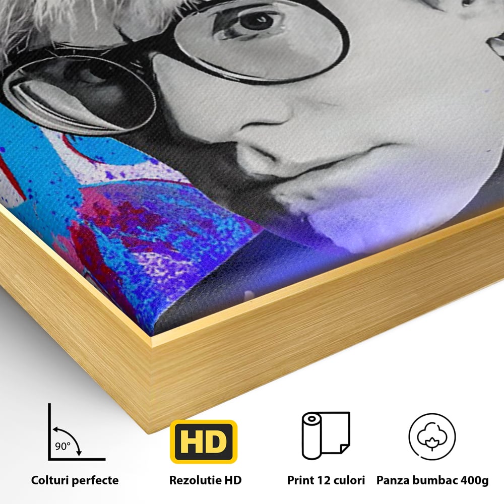Detaliu al suprafetei: tablou canvas cu portretul lui andy warhol, in rama de aluminiu auriu